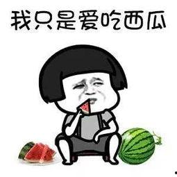 吃瓜娱乐圈花钱,揭秘明星花销背后的秘密